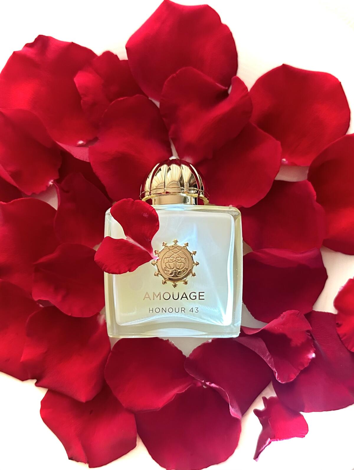 Amouage Honour 43 Woman Extrai – обзор и цена Best Perfume Fragrance